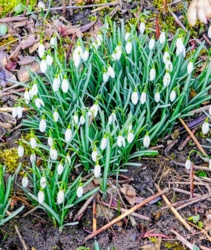 2c3b38e6-8f23-4c88-930d-311dc2a3b200