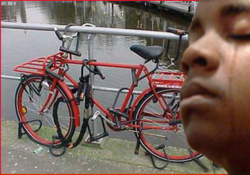 70b95d32-38a4-44bd-81b2-a182ddcffcd7