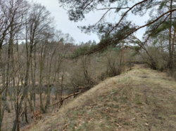 3becf72a-9ec1-430d-ad54-38a69d95d30b