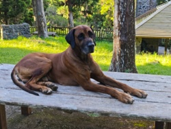 f77e7608-9fd3-4136-bc83-465adc03cae4