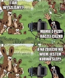 23254aee-199f-4a70-b8b9-038c63415dcd