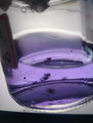 23f3e753-6c77-42ae-8c4b-a882b96c050a