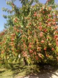 fefa0987-72d3-4688-af7f-90c34a6e85de