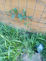 e78301f8-8008-43fe-a5d4-4fca4acf818a