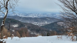 64027db0-cdf9-4166-bff9-baa5914d5370