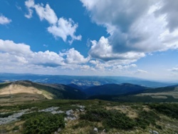 cfc9adf4-e5d5-4c9f-b7da-9461c3b5789c