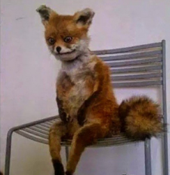 57a48ebf-c8f9-49c1-a814-a05f8a5face1