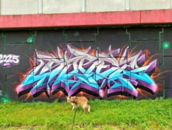 0d35fedf-96da-4dbd-b742-762bc8196188