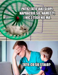 2dbbb4e5-032f-4b09-8da5-17e4598b7c36