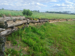 3b67251d-d51a-46b0-9adb-1e4104a2f41f