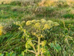 ec4e1ac0-5c1d-4f38-a7f9-43b5b1b3c27b