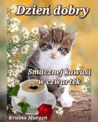 8323e17c-a3d9-4213-9c2a-b7a77eb41401