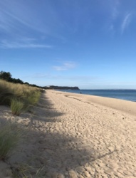 7aa179d9-0ad6-4796-bf57-c10833f9c8be