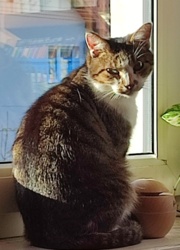 2a14a586-2939-45b0-a514-608267d2d404