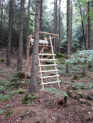 2a1845b1-b0d3-4d27-8c56-f4c63e468b76