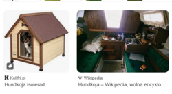 8573717c-41f7-4a60-8f75-82296019fb9c