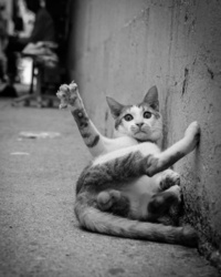 0854e83b-1de2-403d-a4fe-2f77f57f94c1