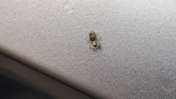 71d275d1-9123-42b2-a9ff-7524287f3111