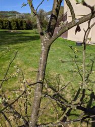 a8666888-341b-4f99-a6c3-b6a373bffaff