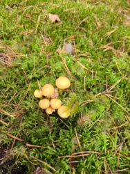 bd86e099-37cb-4219-a874-556ef936b68e