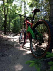 58fdbb0c-6153-4d40-89c7-1e5ce5fed2de