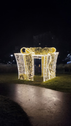 402ef113-42d8-42f6-9594-6c1abec2806f