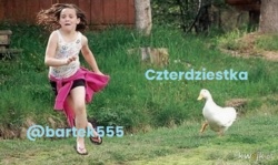 1213fb2c-1884-434f-abd6-e21321679f8d