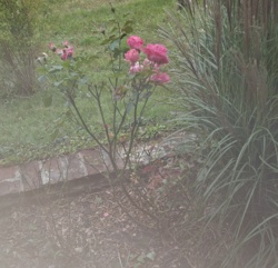 5e908874-602b-4fd3-8710-64baa98a4956