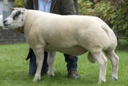 3b1af7c9-a20a-4438-9a55-62e4155207cb