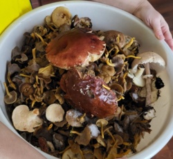 c39ff124-e880-4dbb-b3fe-82d01ad3bae4