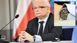 d983105e-e08c-47a5-a3c0-d6fa7e6fa97f