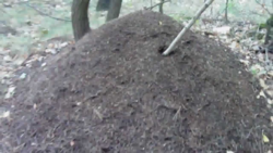 9e96f98a-d5e8-4b04-a34f-8c9fae158b7c