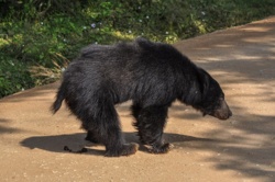 f6600ac8-247f-42f2-a350-fb68d45c706a