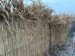 d365eff9-e2f2-4cf5-b482-2198df0ac539