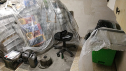 8c746d12-4da4-4034-8c75-d862b16db143