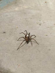 82d2a37a-de6f-472d-9bbf-d888b6ccdd4e