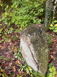 0410b40f-a9a7-4615-be8a-cc0b788885b9