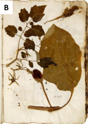 eea72976-cea0-4166-abca-71de72155bb0