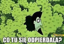 0367c802-15b4-4901-b7ad-22b034a9e4cf