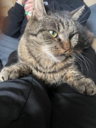 f35439ba-b6cf-43c8-aa2b-33a3c1fd9b6d