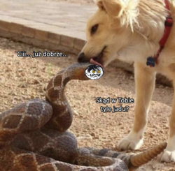 96f2add2-378b-42c6-ac2d-a4ec8f356474