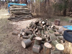 38ae5fab-a7d8-4d0b-960d-465a907ec296