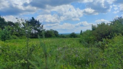 8e1da882-9d65-4890-923a-35cca82af2f3