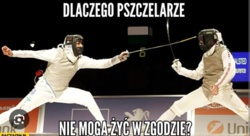 528c7f17-6213-49e8-a6b0-94ef309e2ca0