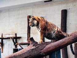 4fa198e7-986b-4dca-bfce-832727962b36