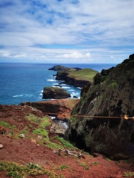 407485f2-b04d-40a2-ba8d-1bdc1a64ba97