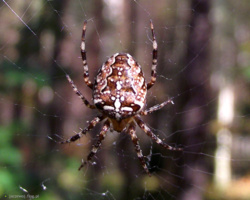 955d9f57-3cd7-4d34-9b21-e6a16dd2641a