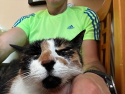 259e3279-952b-4286-89b6-6835ac282dc2