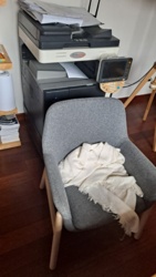 b1677699-21d8-4901-9d9c-4b7b34a01839