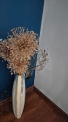 c1aaa84c-5c4e-4f4d-bb65-881a2171b38b